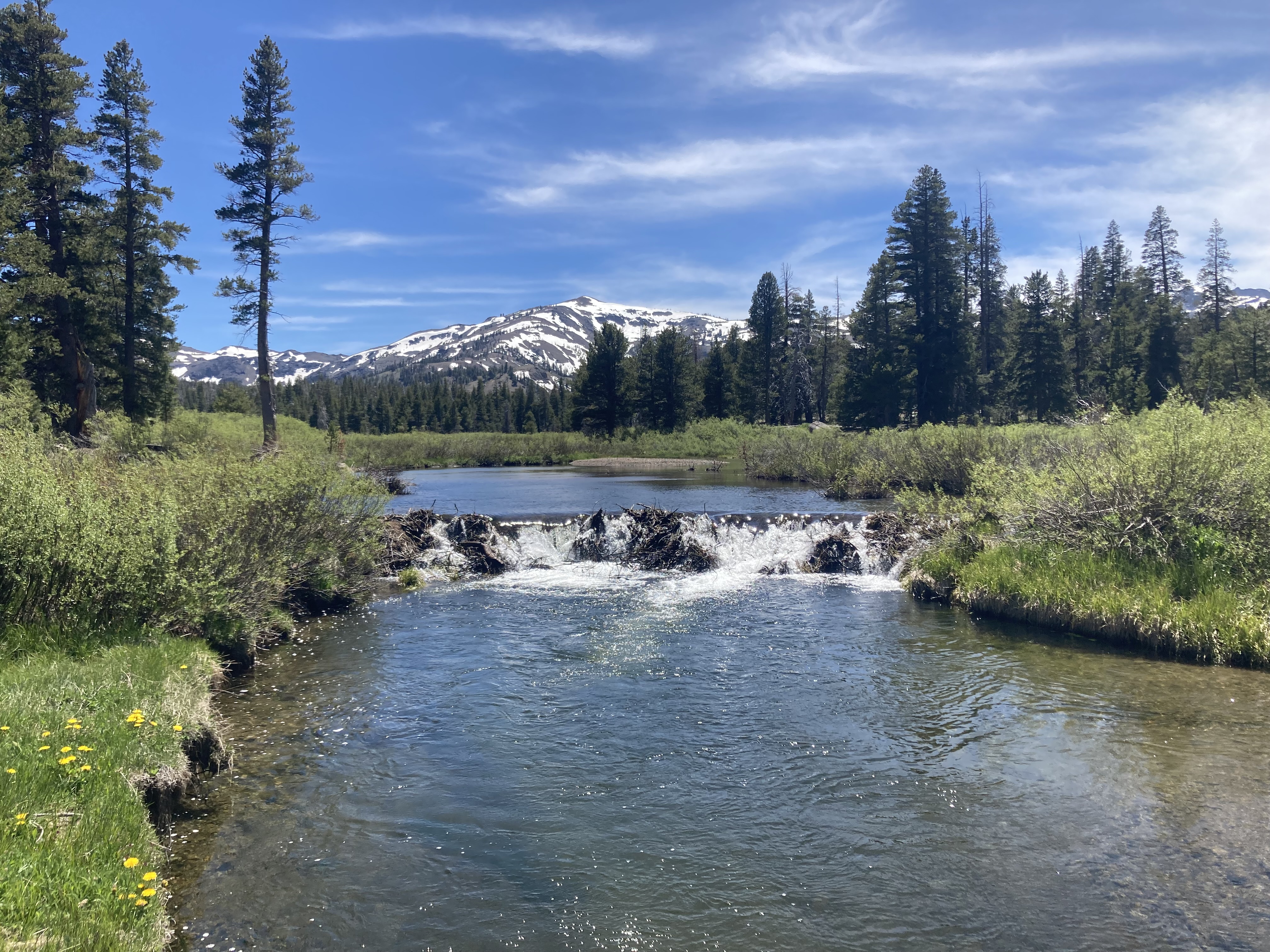 Modern-day prospectors take notice as raging California rivers replenish historic Gold Rush spots