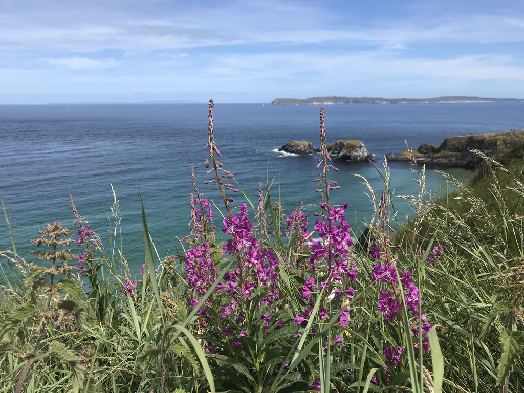 ireland views