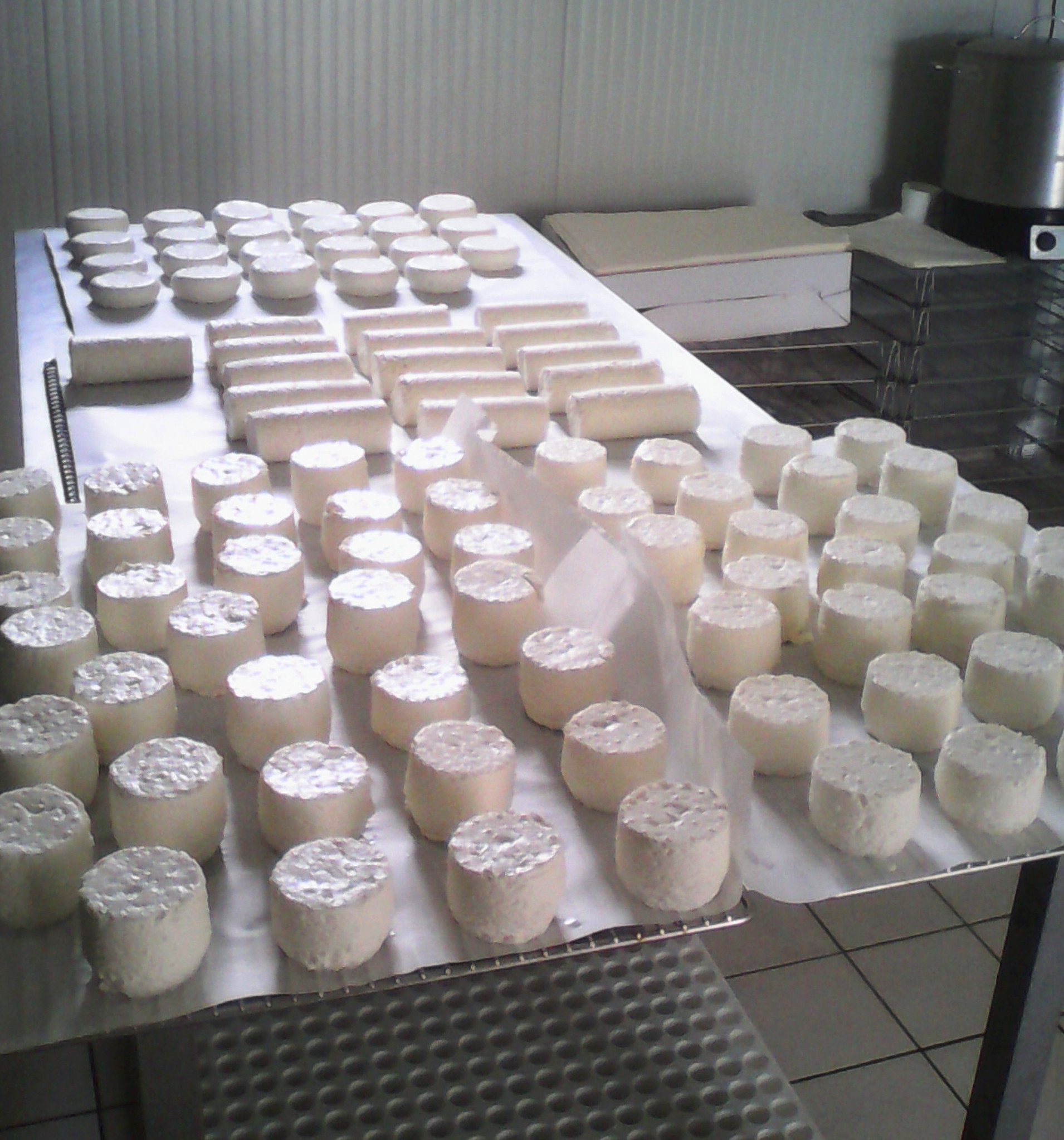 fromages