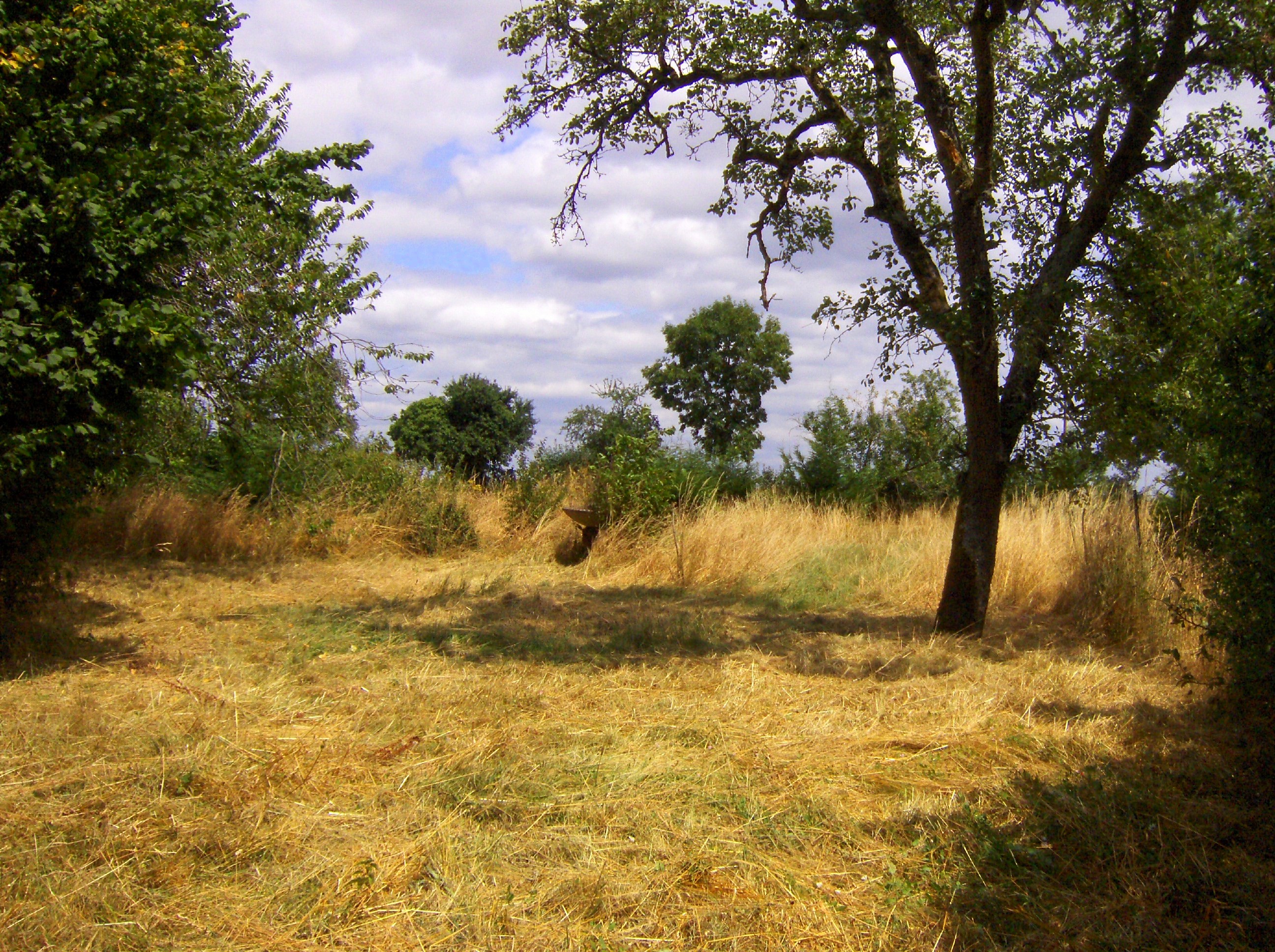 paille jardin