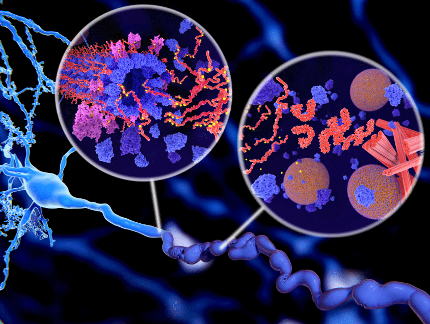 peptides for weight loss