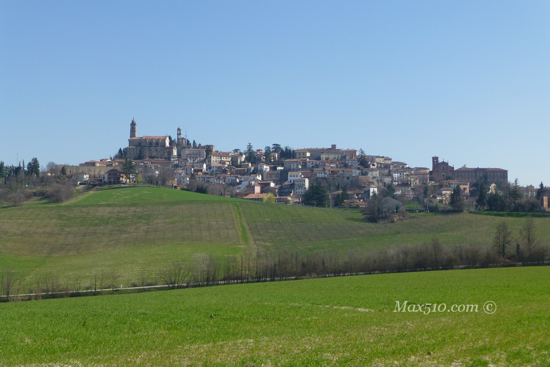 Vignale Monferrato
