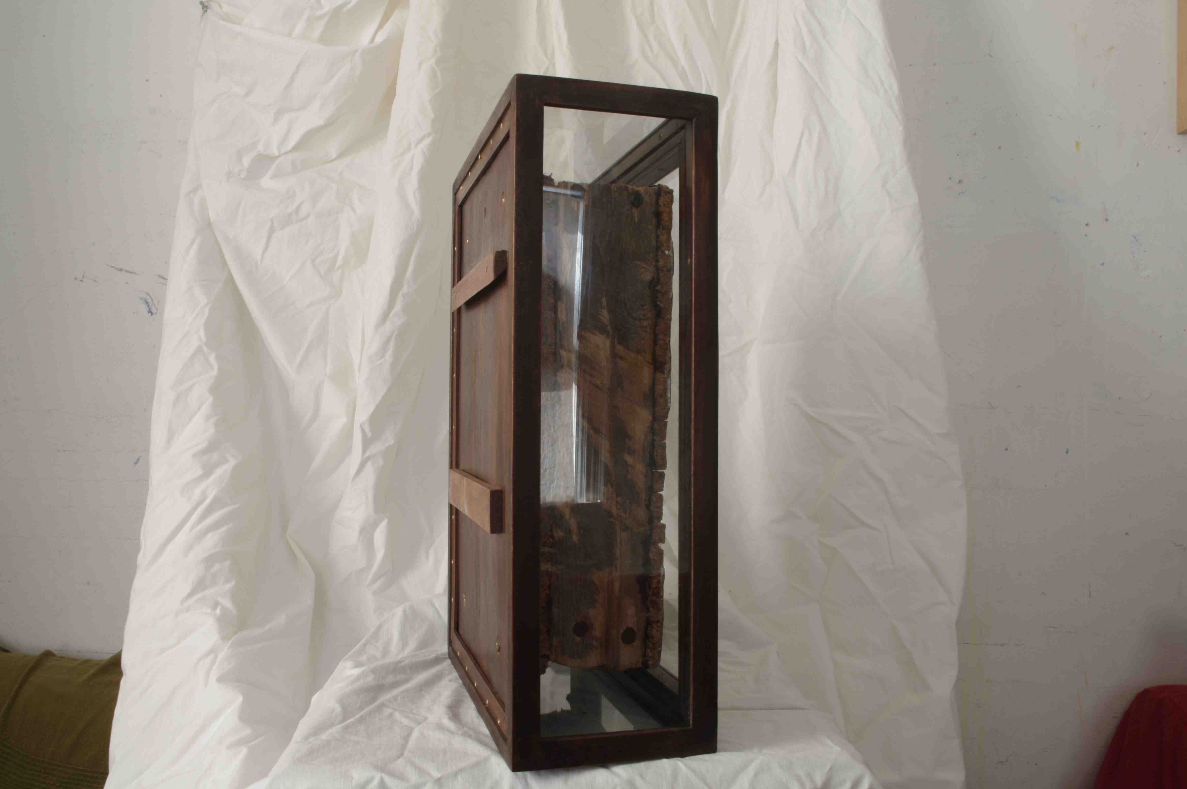 February 19, 2012-5276