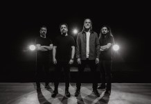 IN WE FALL NEW SINGLE