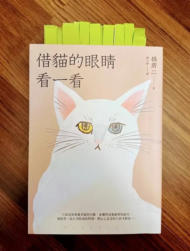 [心得]《借貓的眼睛看一看》：讀後感