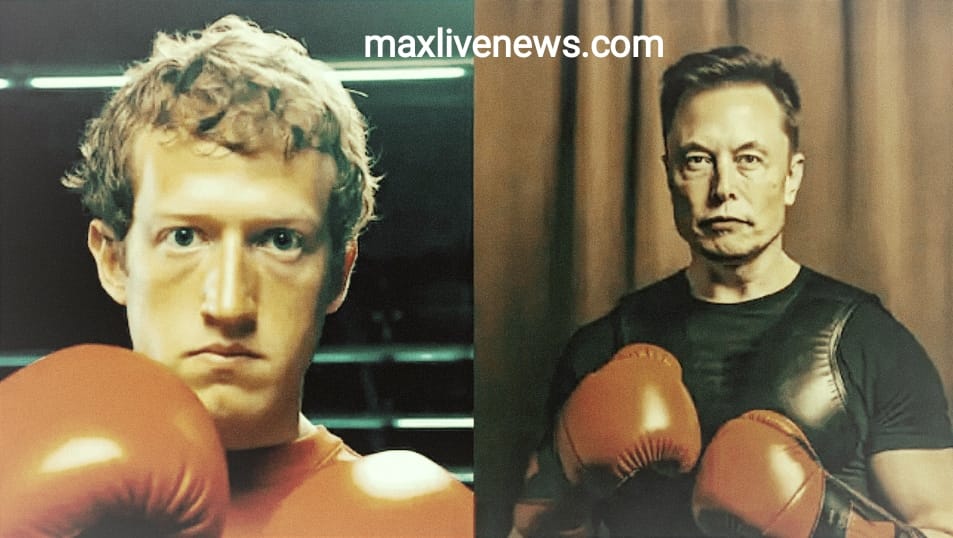 एलन मस्क ने मार्क जुकरबर्ग को दीया बंद पिंजरे में फाइट का चैलेंज \ Not elon musk, mark zuckerberg was challenged to a fight in a closed cage 