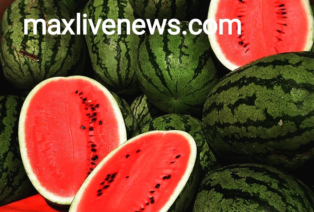 तरबूज खाने के फायदे जानकर आपको जाएंगे हैरान \ You will be surprised to know the benefits of eating watermelon