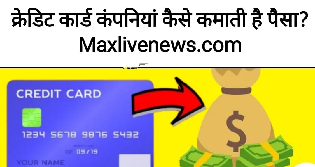 क्रेडिट कार्ड कंपनियां कैसे कमाती है पैसा? \ How do credit card companies make money?