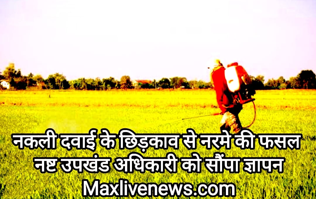 नकली दवाई के छिडक़ाव से नरमें की फसल नष्ट, उपखण्ड अधिकारी को सौपा ज्ञापन \ Memorandum handed over to the sub-divisional officer who destroyed the soft crop due to the spraying of fake medicine 