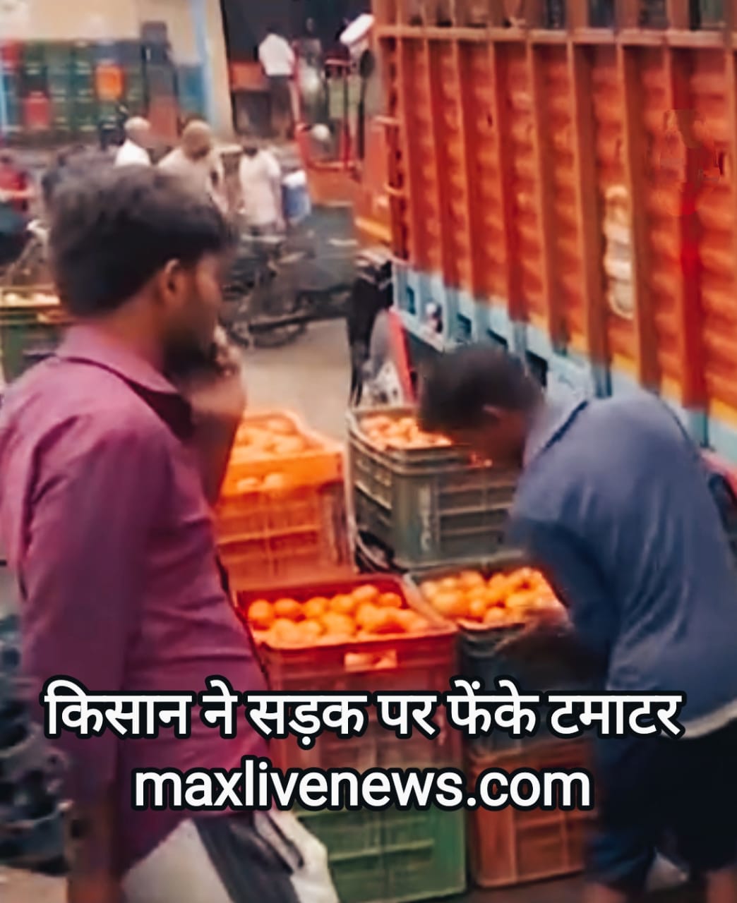 किसान ने सड़क पर फेंके टमाटर \ Farmer threw tomatoes on the road 