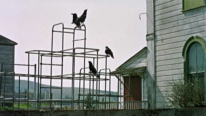 Case Study Sobel Edge Detection Maxpy 0 1 Documentation - Retina Colorful Backgrounds for Desktop