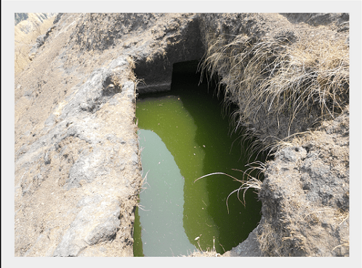 కొకండివా ట్రెక్ ...