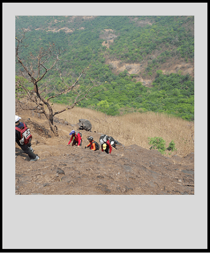 కొకండివా ట్రెక్ ...