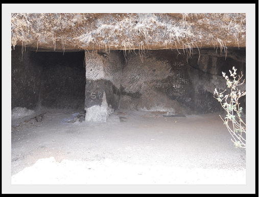 కొకండివా ట్రెక్ ...