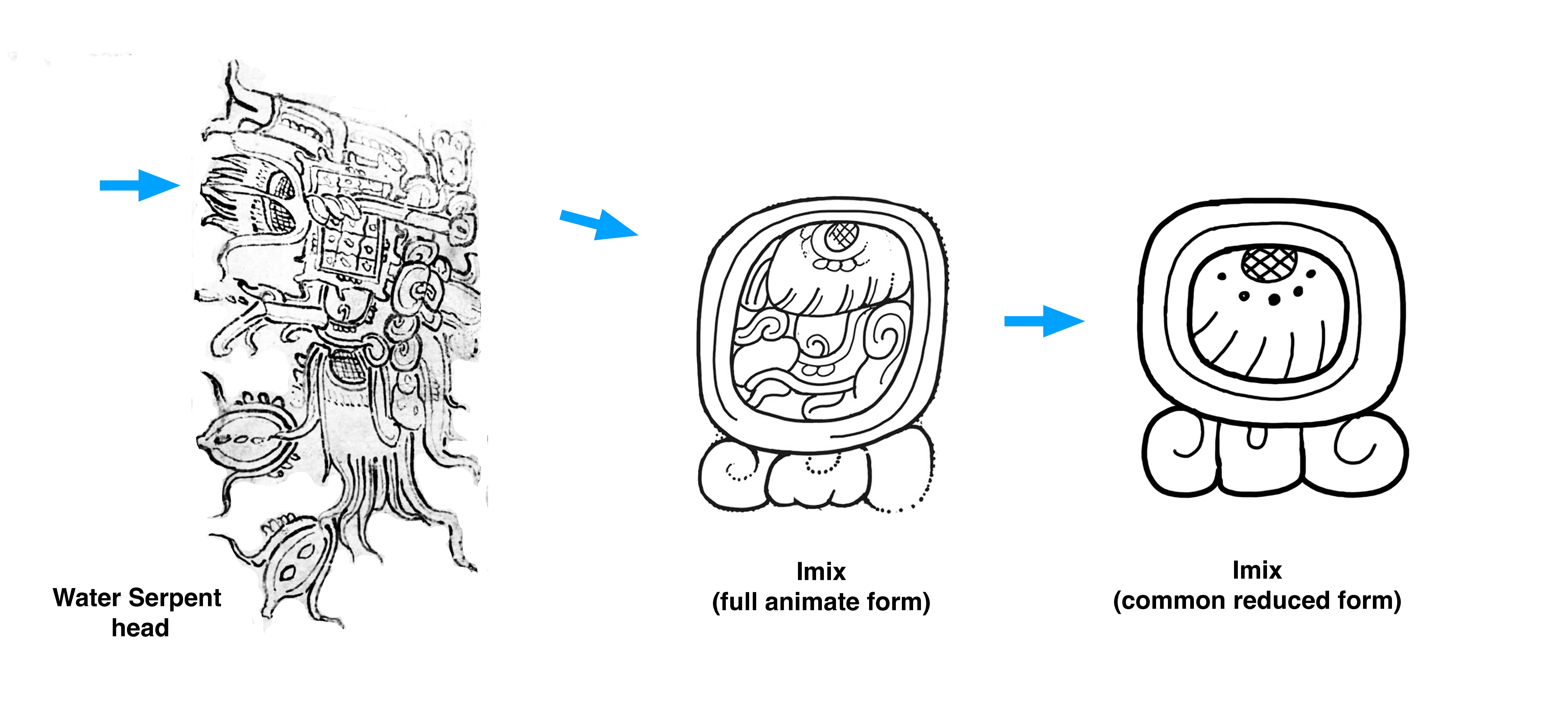 August 2025 – Maya Decipherment