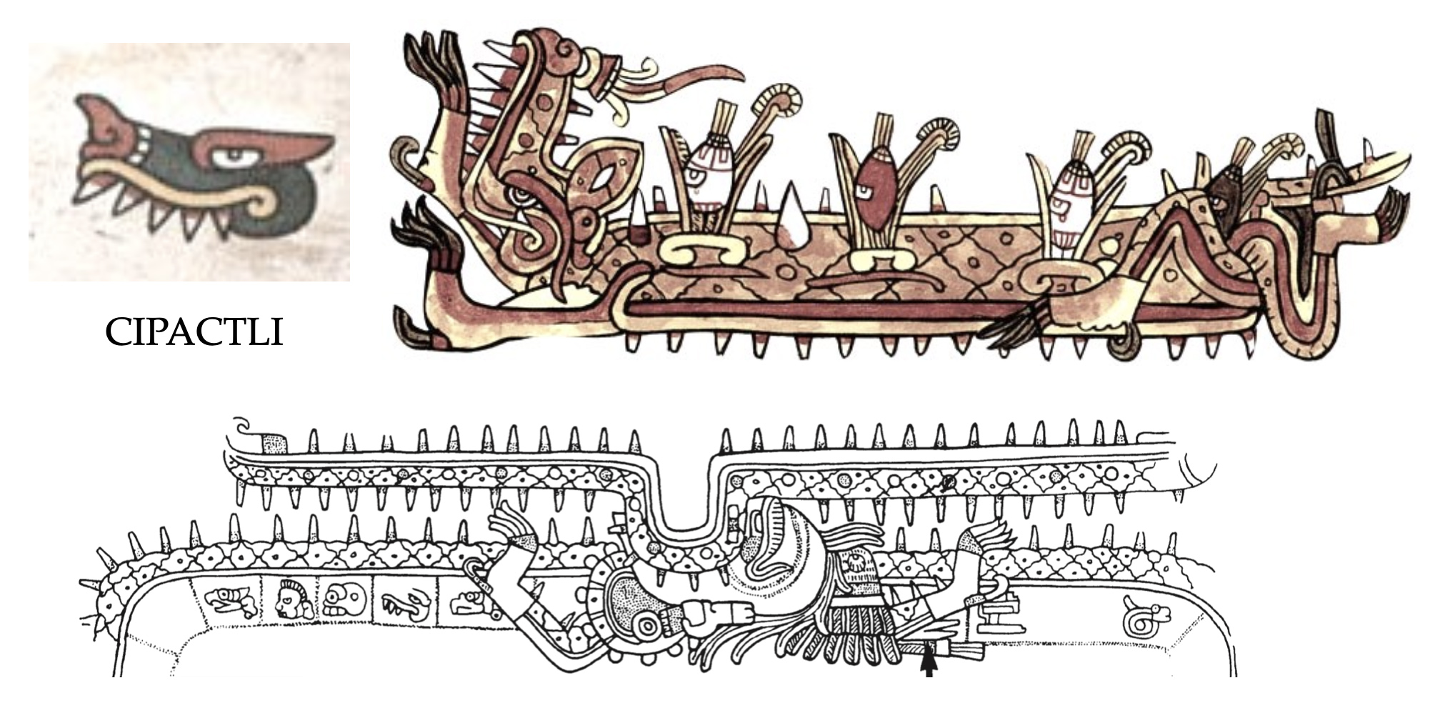 February 2026 – Maya Decipherment