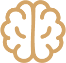 brain icon