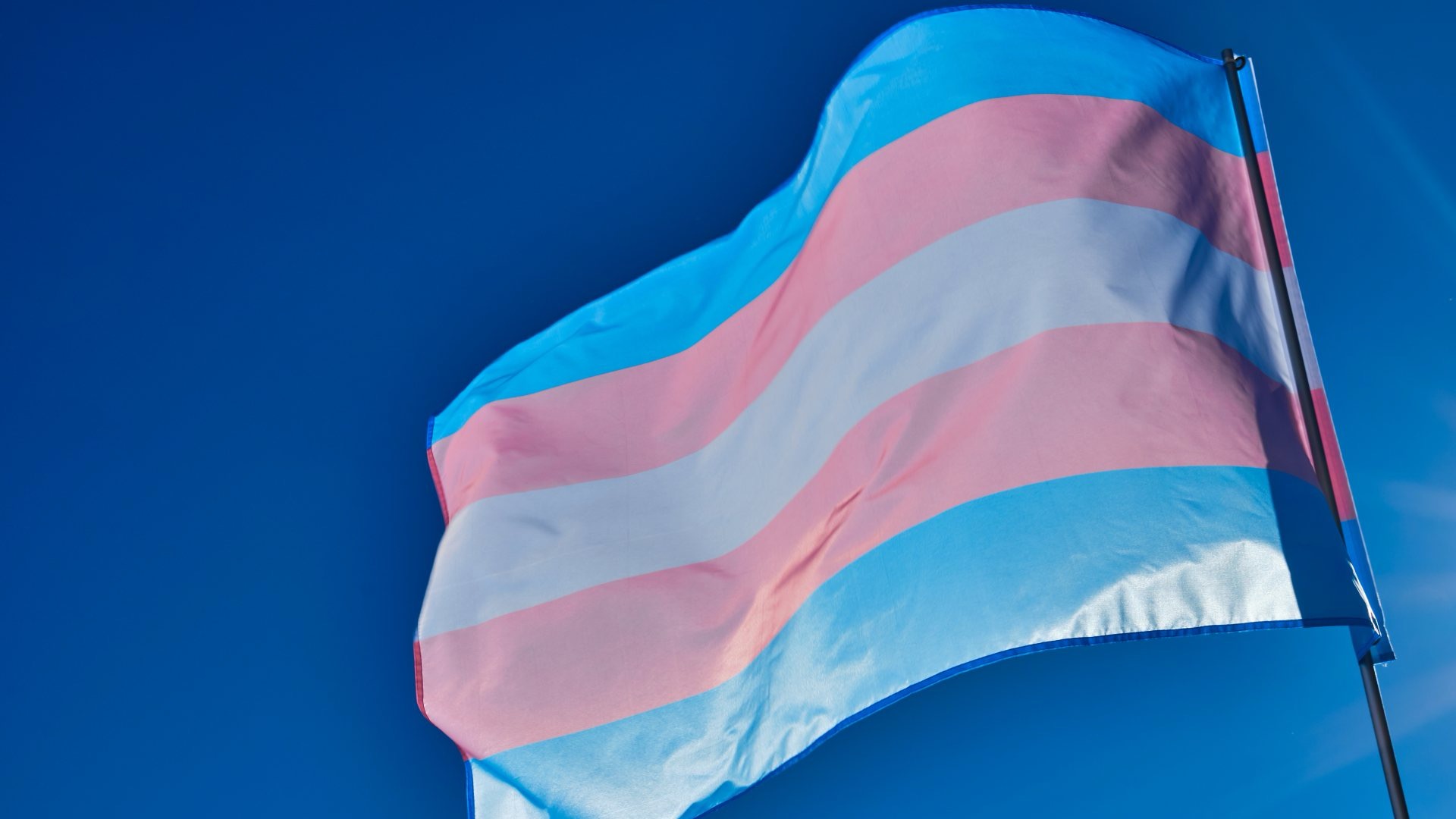 Estudiantes trans bajo amenaza tras eliminación de políticas de DEI en Puerto Rico