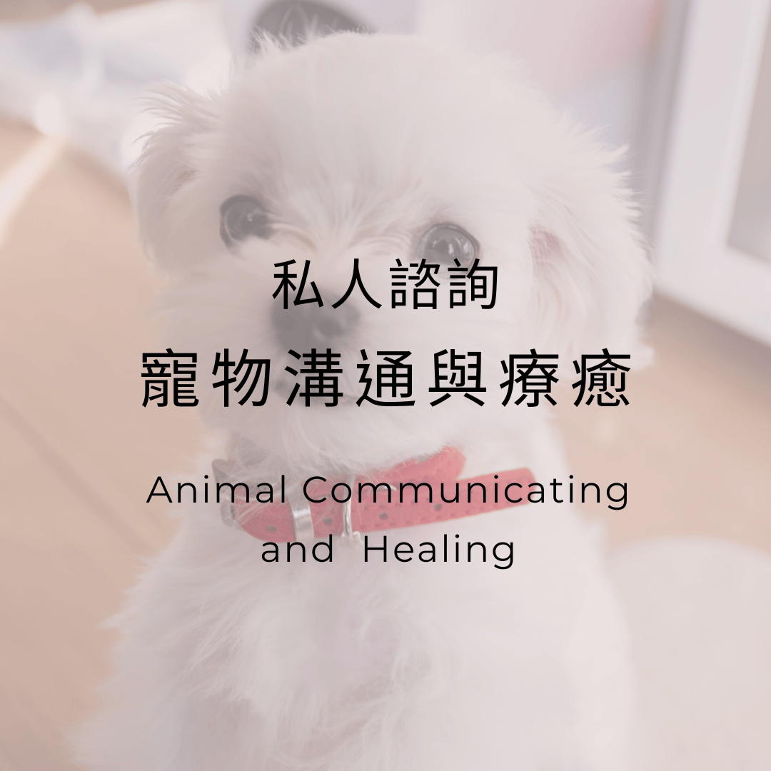 寵物溝通與療癒