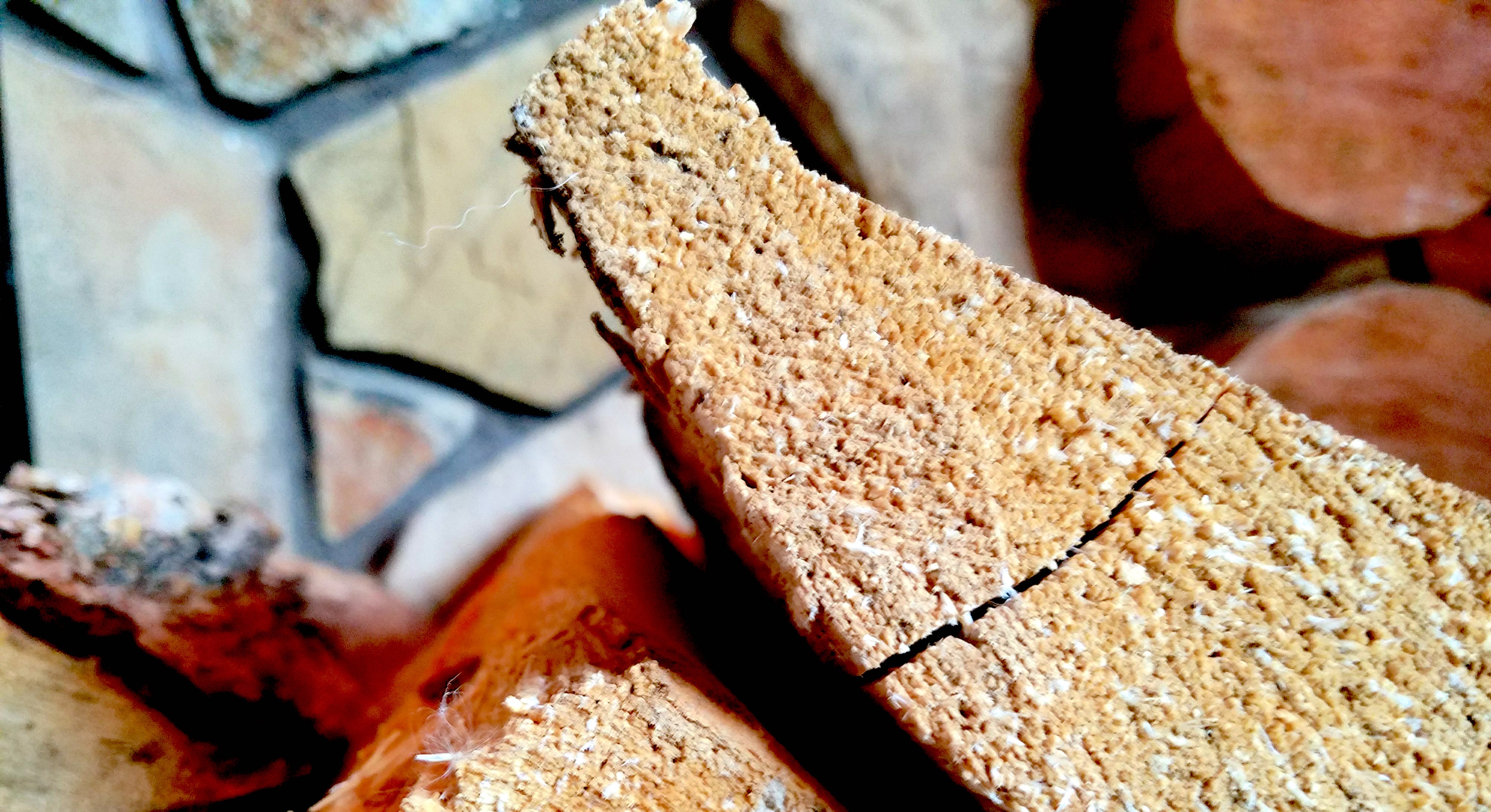 Before we installed our wood stove, we simply used our fireplace—an environmentally detrimental habit. When we discovered we’d had a chimney fire, the fireplace went temporarily out of commission. Our living room regularly dropped down to 60 degrees or colder. I tried to remain optimistic by imagining how balmy this would be by other standards—19th century standards, Arctic living standards.