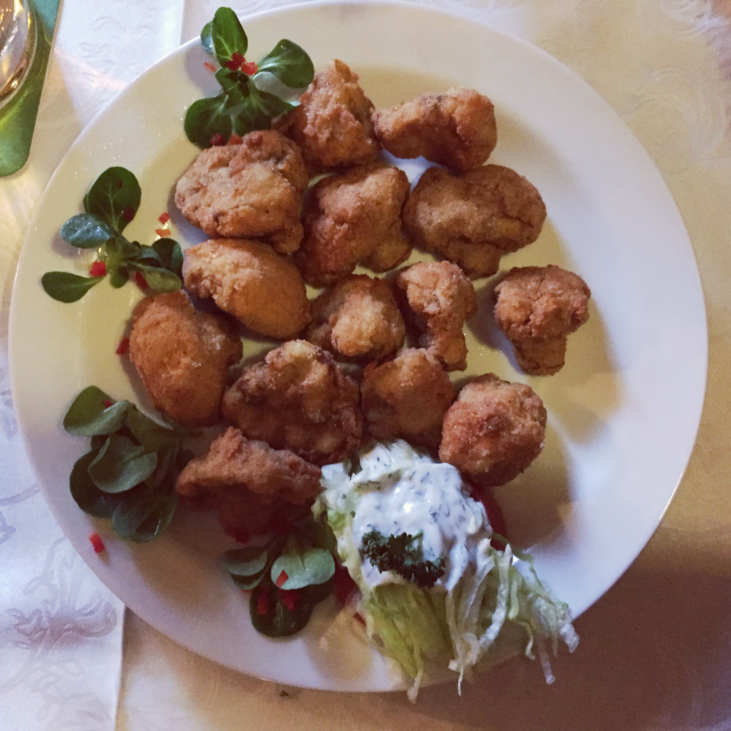 פטריות מצופות