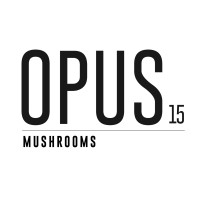 opus mushrooms