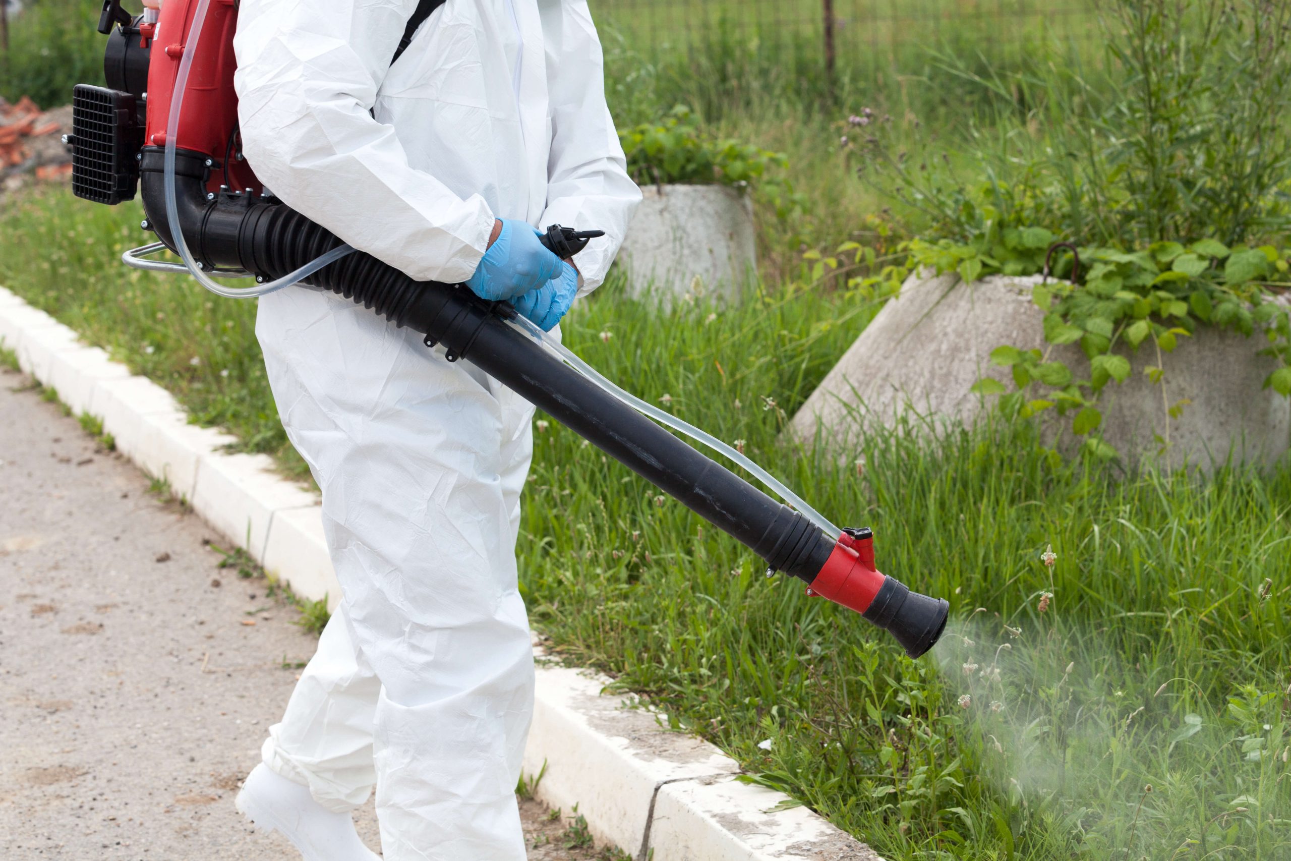 Insect Control in Essex, MA - Mayer Tree Service, Inc.