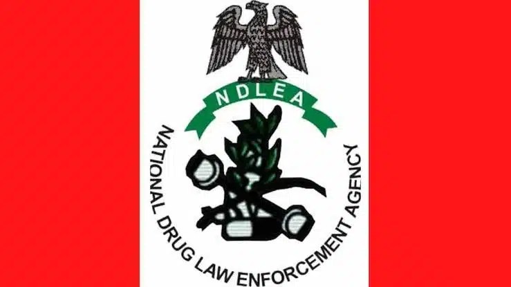 84-Year-Old, 75-Year-Old Nabbed For Allegedly Selling Drugs To School Students In Abia