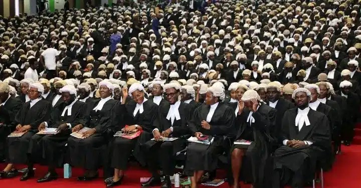Planning To Study Law? See The 122 Universities CLE Says Are Approved