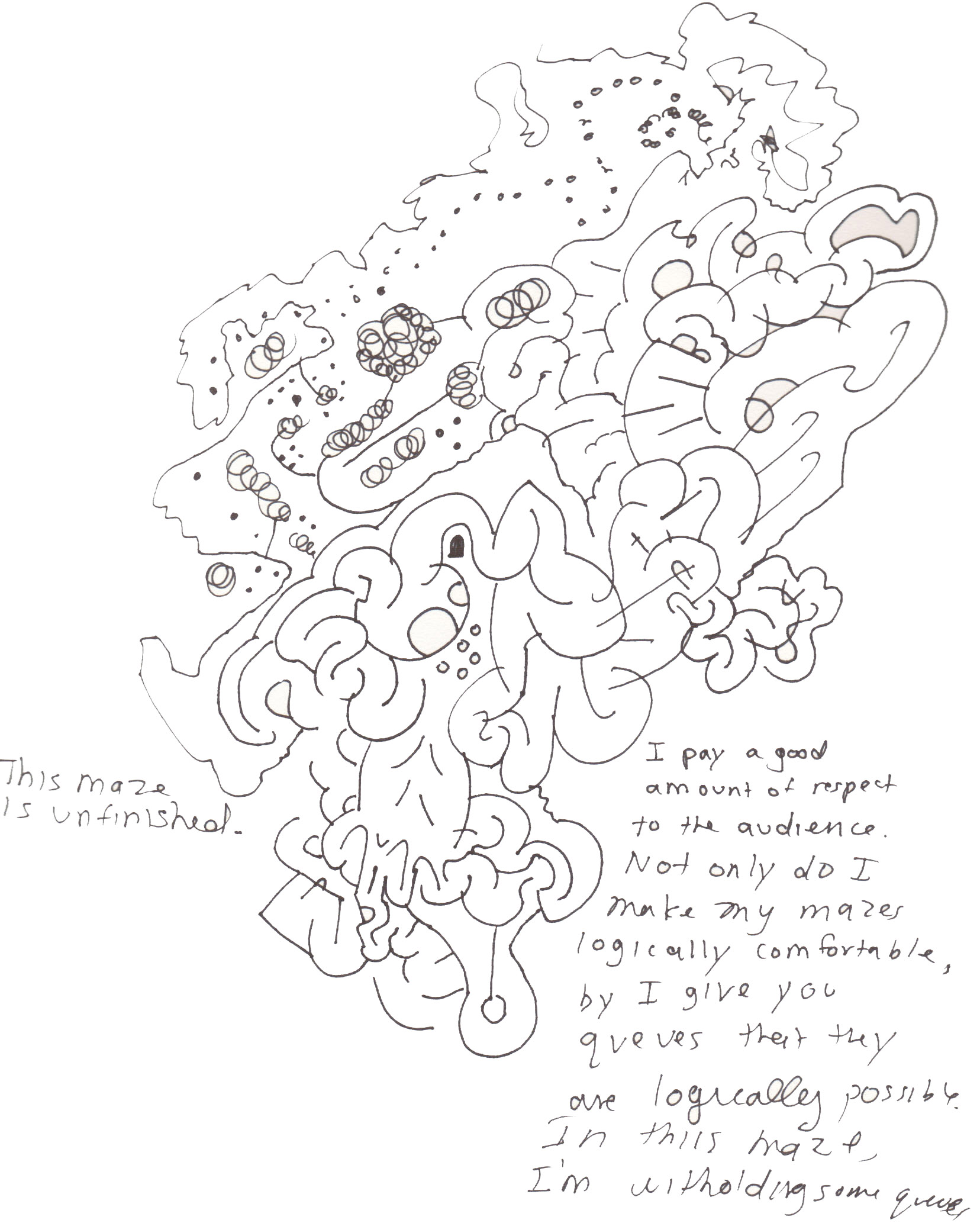 Zoomed Out View – Maze Structure