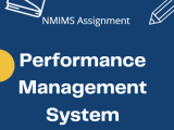 Performance Management System Nmims Assignment Solution Mba Solutions