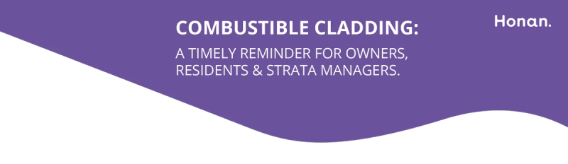 Combustible Cladding Basic Expert - Download Amazing Mountain Illustration | Ultra HD