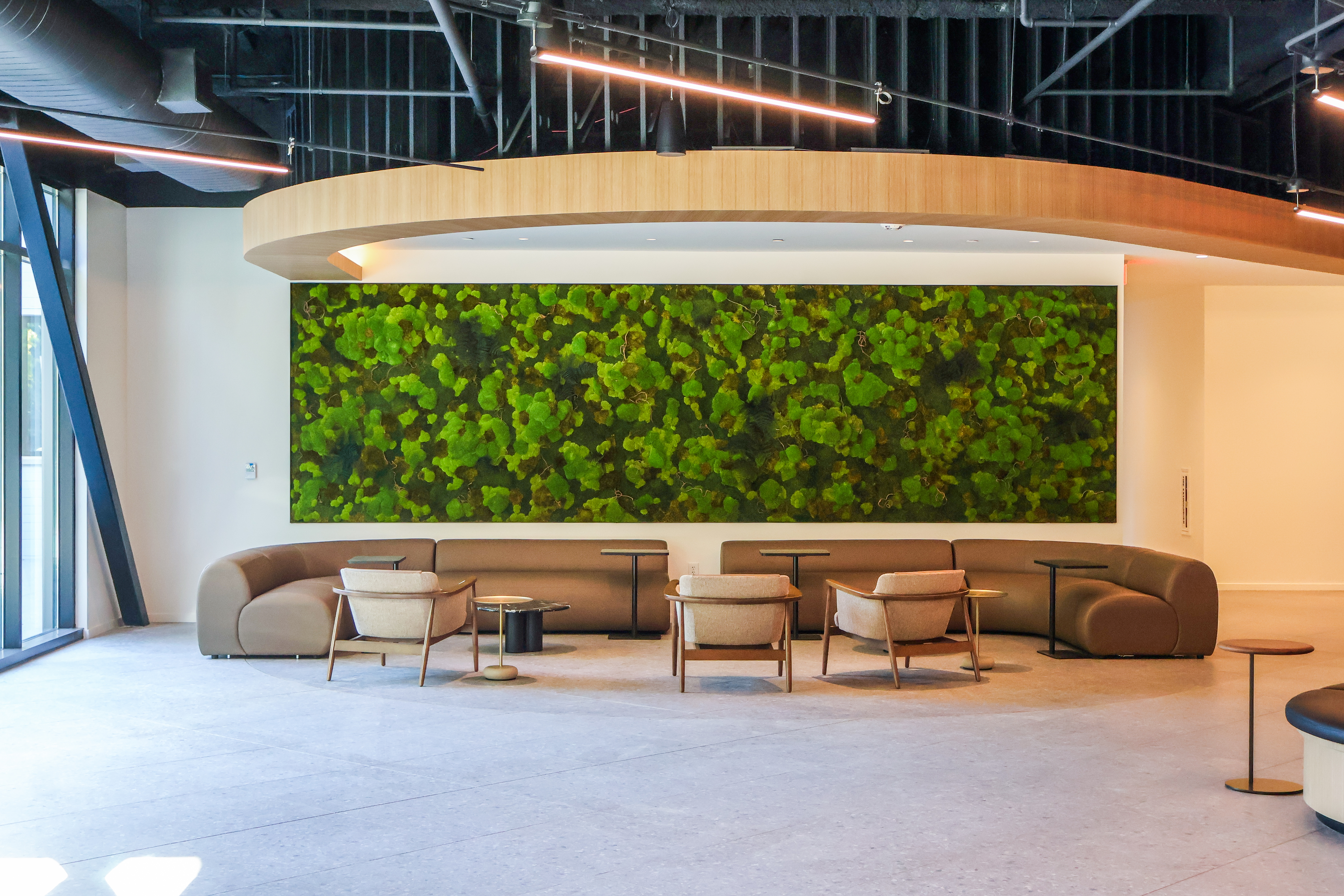 MOSS inspire 154cm 新品バイン Moss wall art gallery | Minneapolis