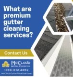 What are premium gutter cleaning services?