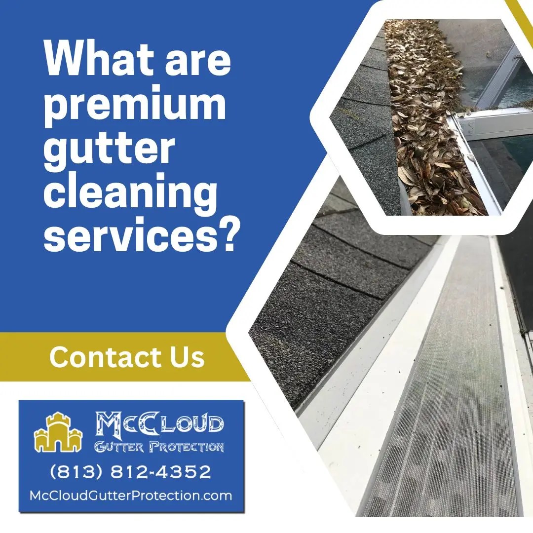 What are premium gutter cleaning services?