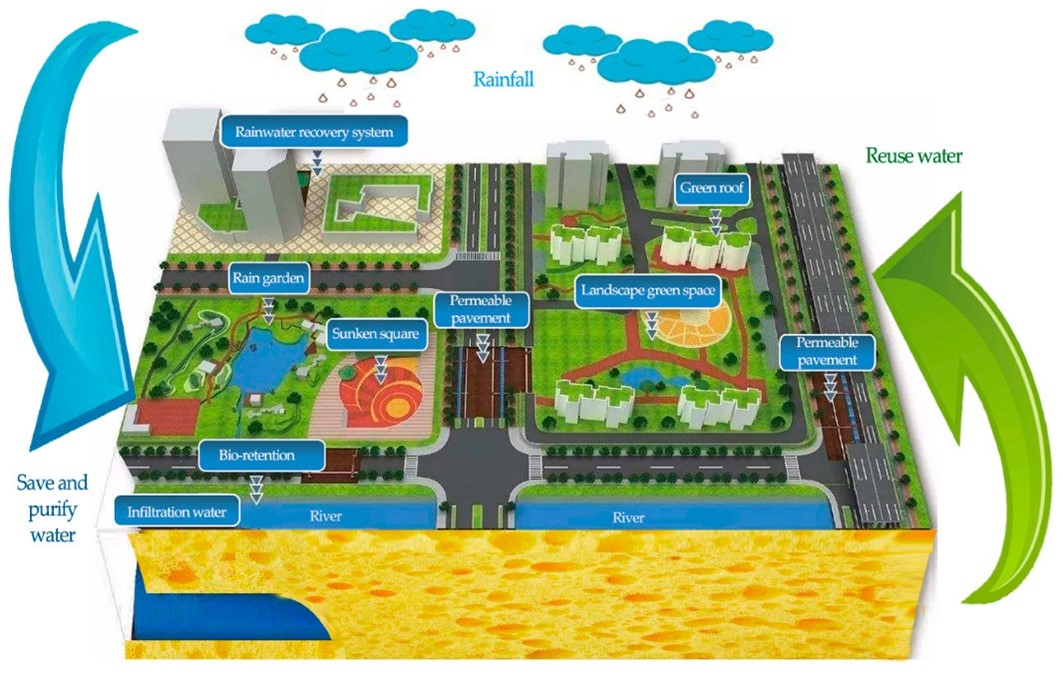 Sponge Cities: A Scalable Framework for Climate-Resilient Urban Water Management in India