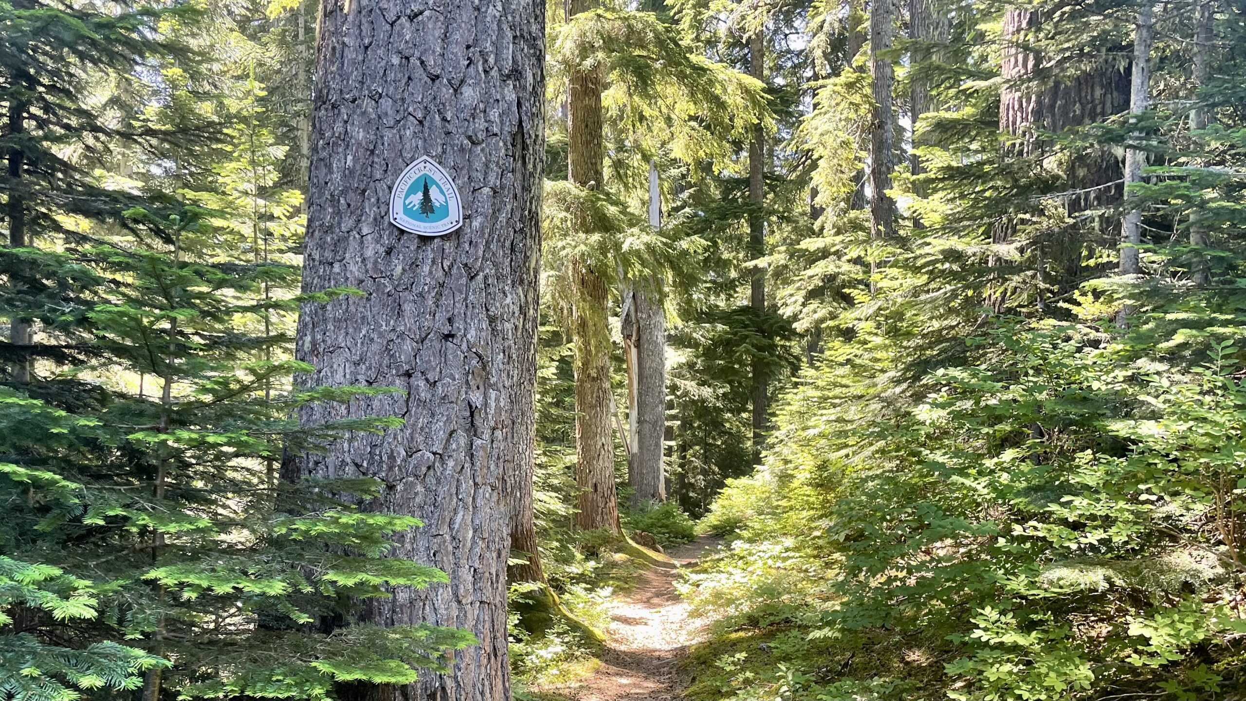 Snoqualmie Pass to Cabin Creek