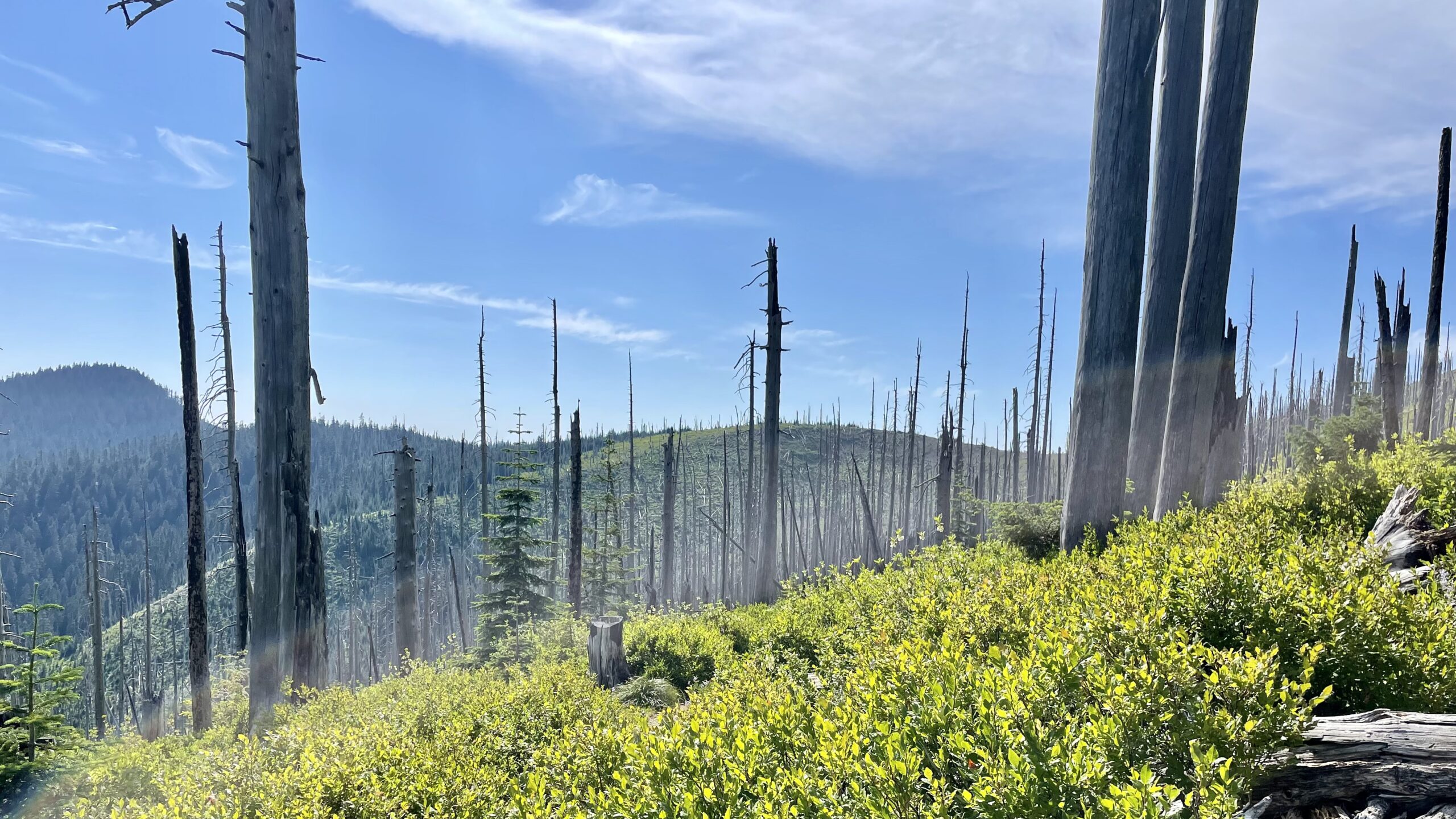 Cabin Creek to Mike Ulrich Cabin