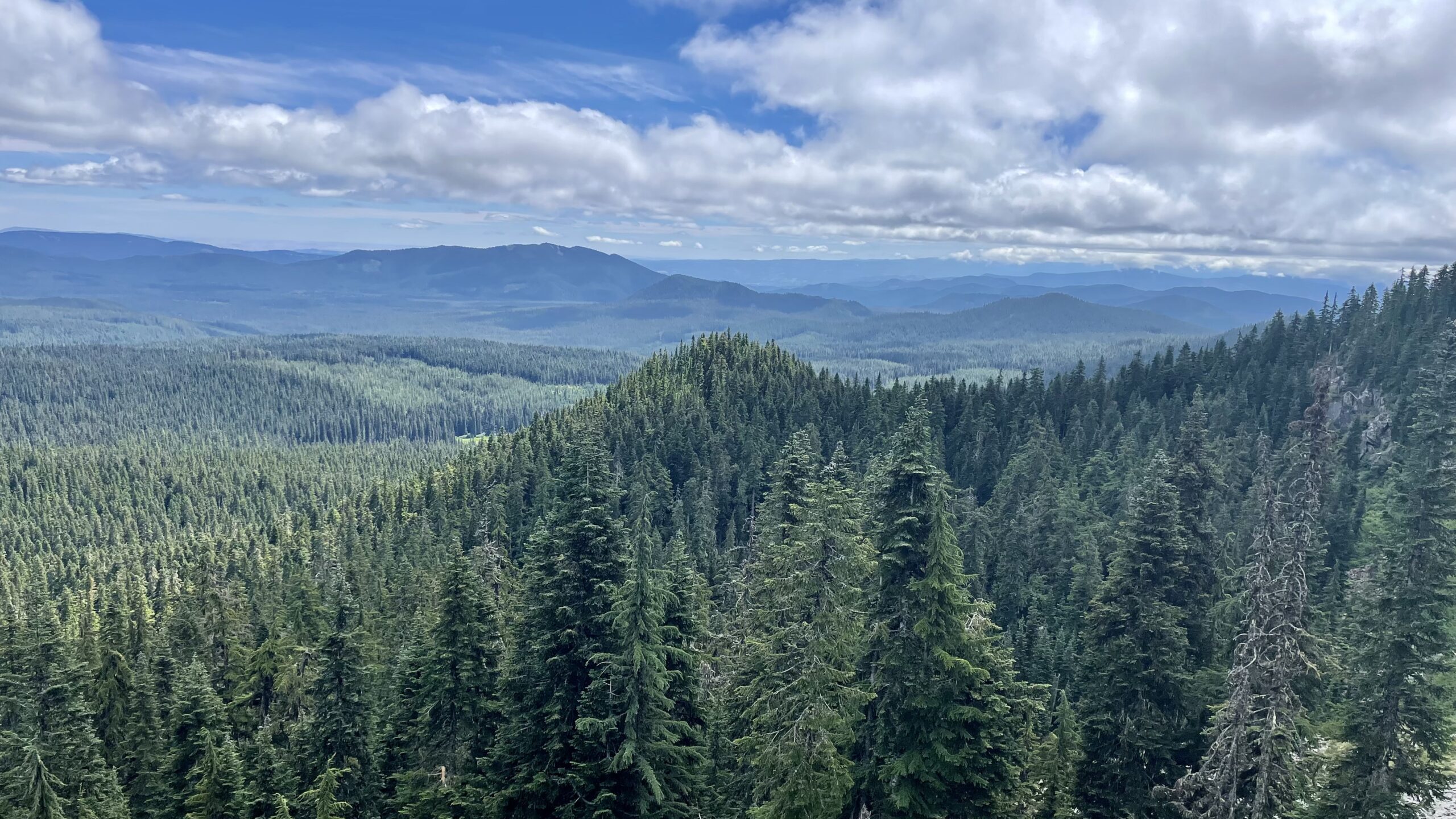 Sawtooth Trailhead to Big Huckleberry Saddle