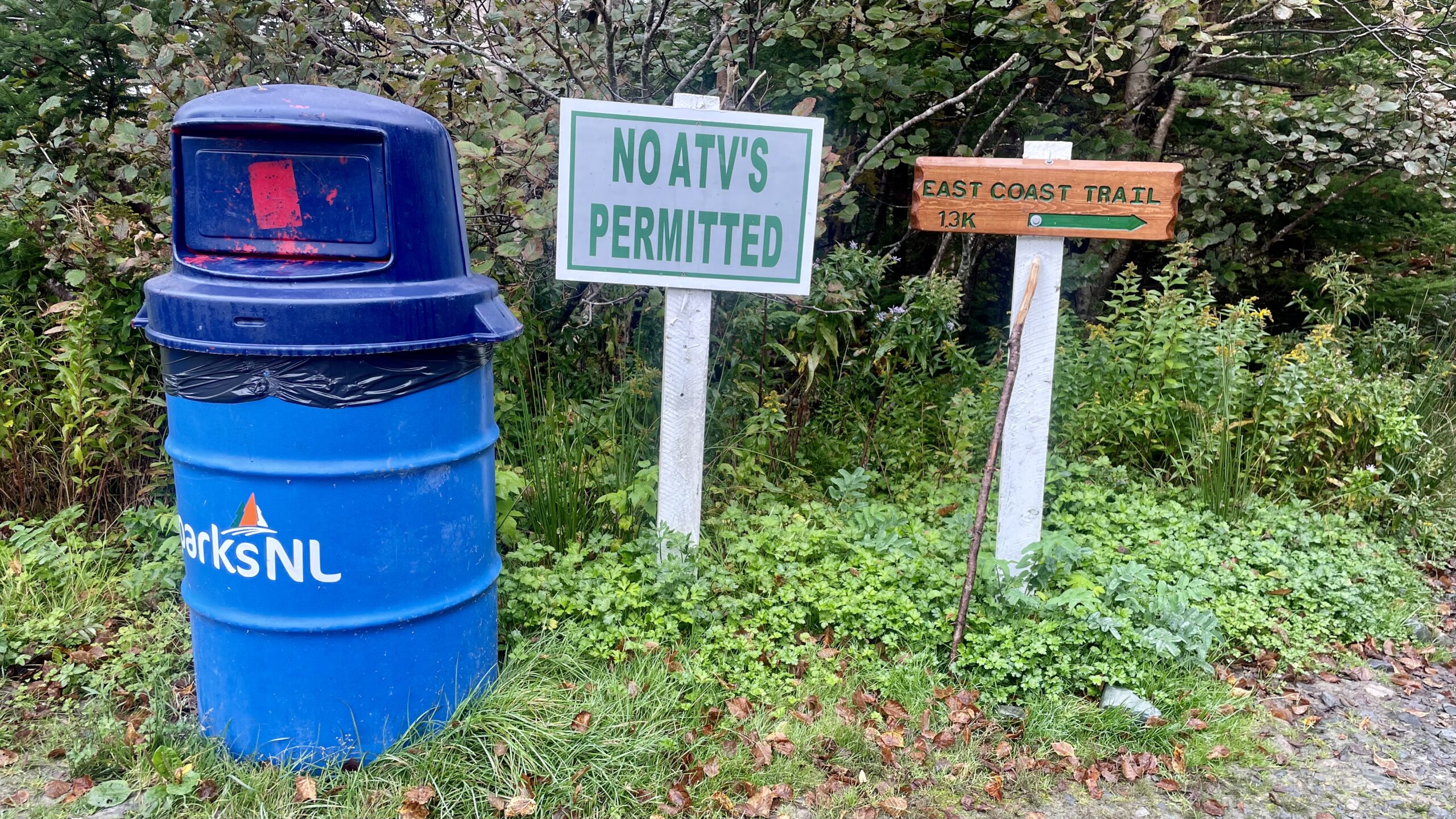 Singular Possessive Vehicle