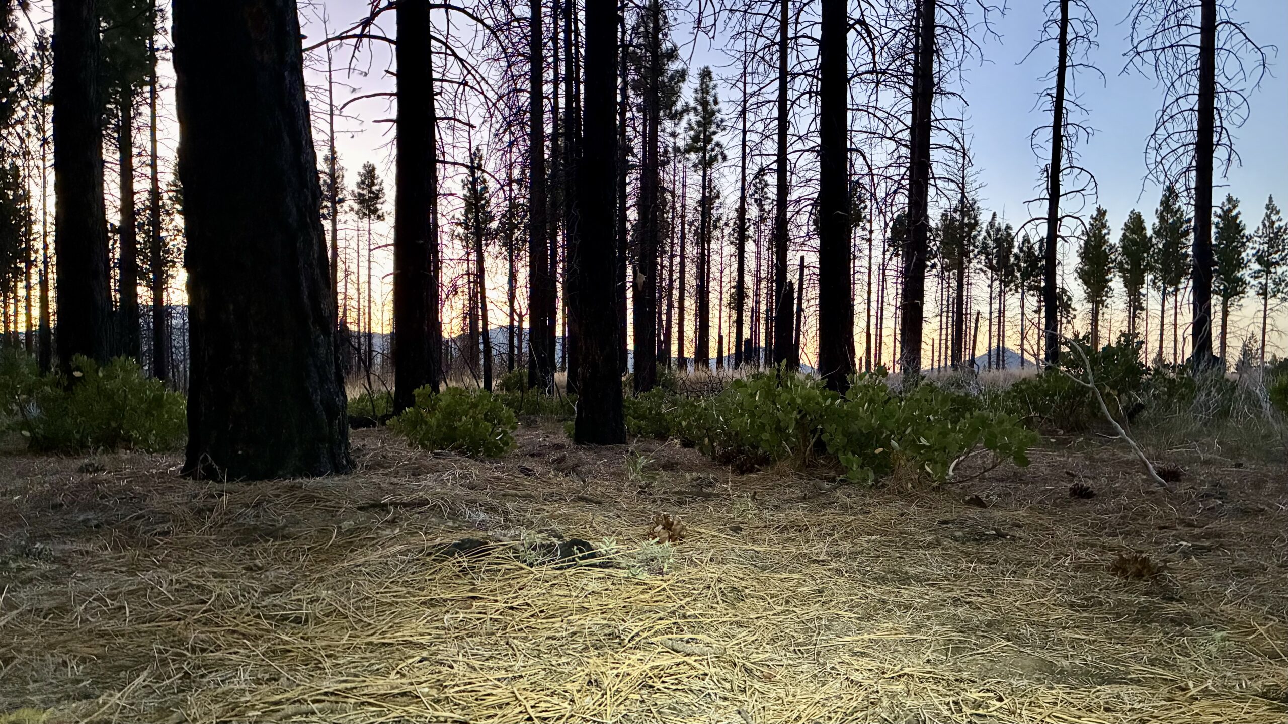 Old Station to Hat Creek