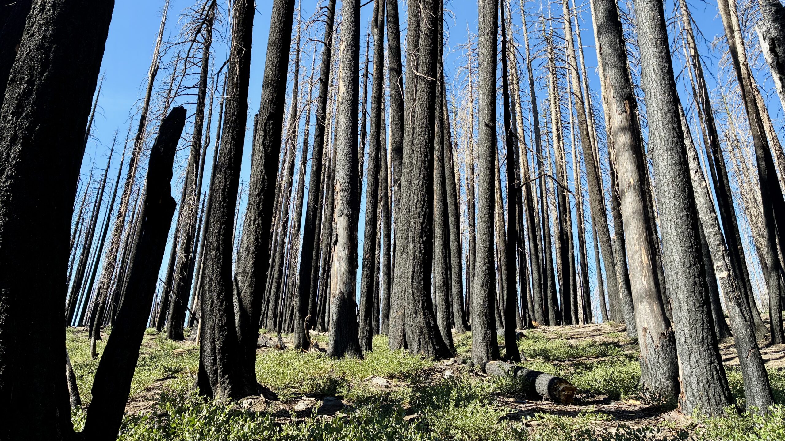 Drakesbad Guest Ranch to Highway 36