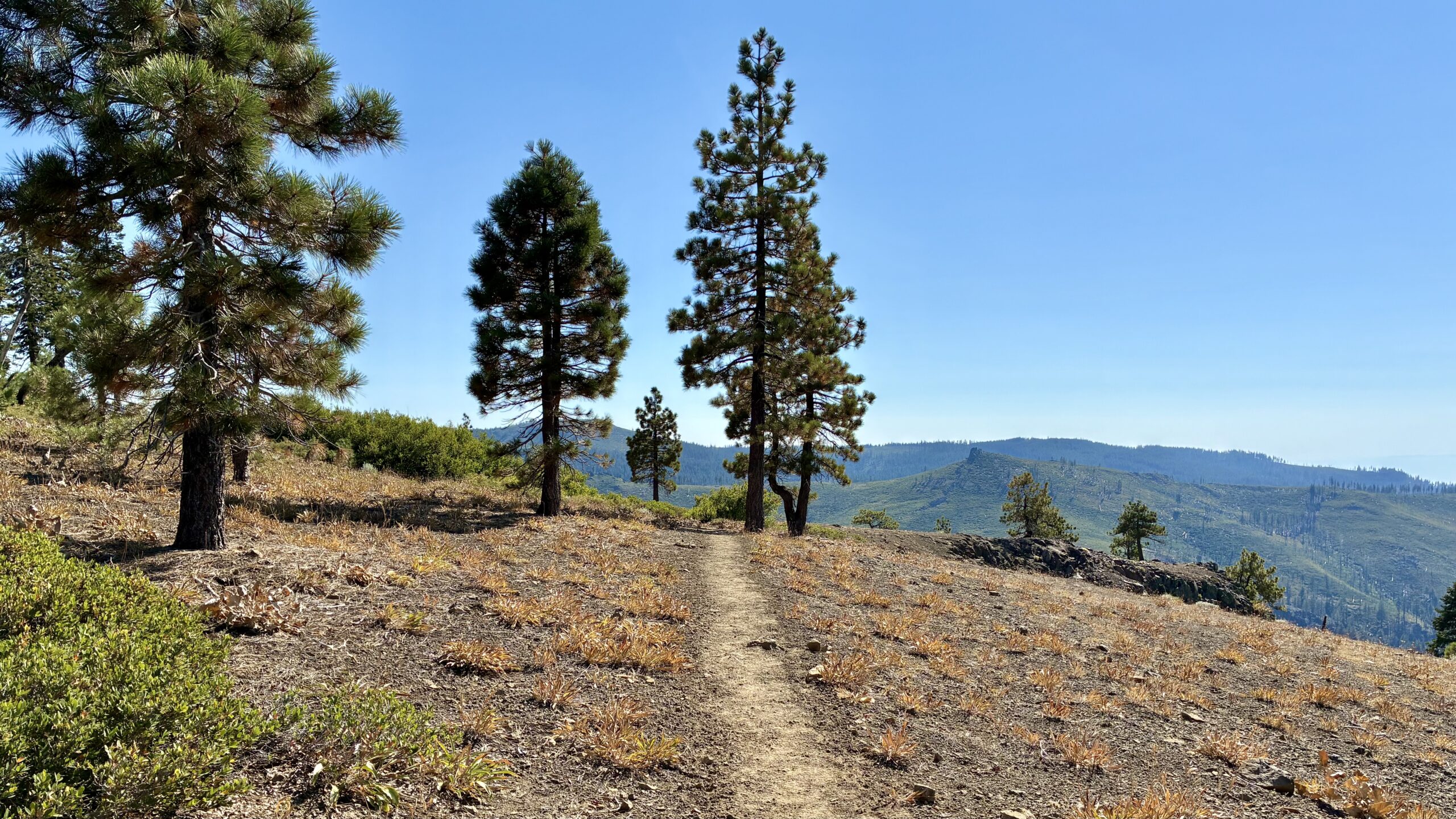 Highway 36 to Humboldt Road