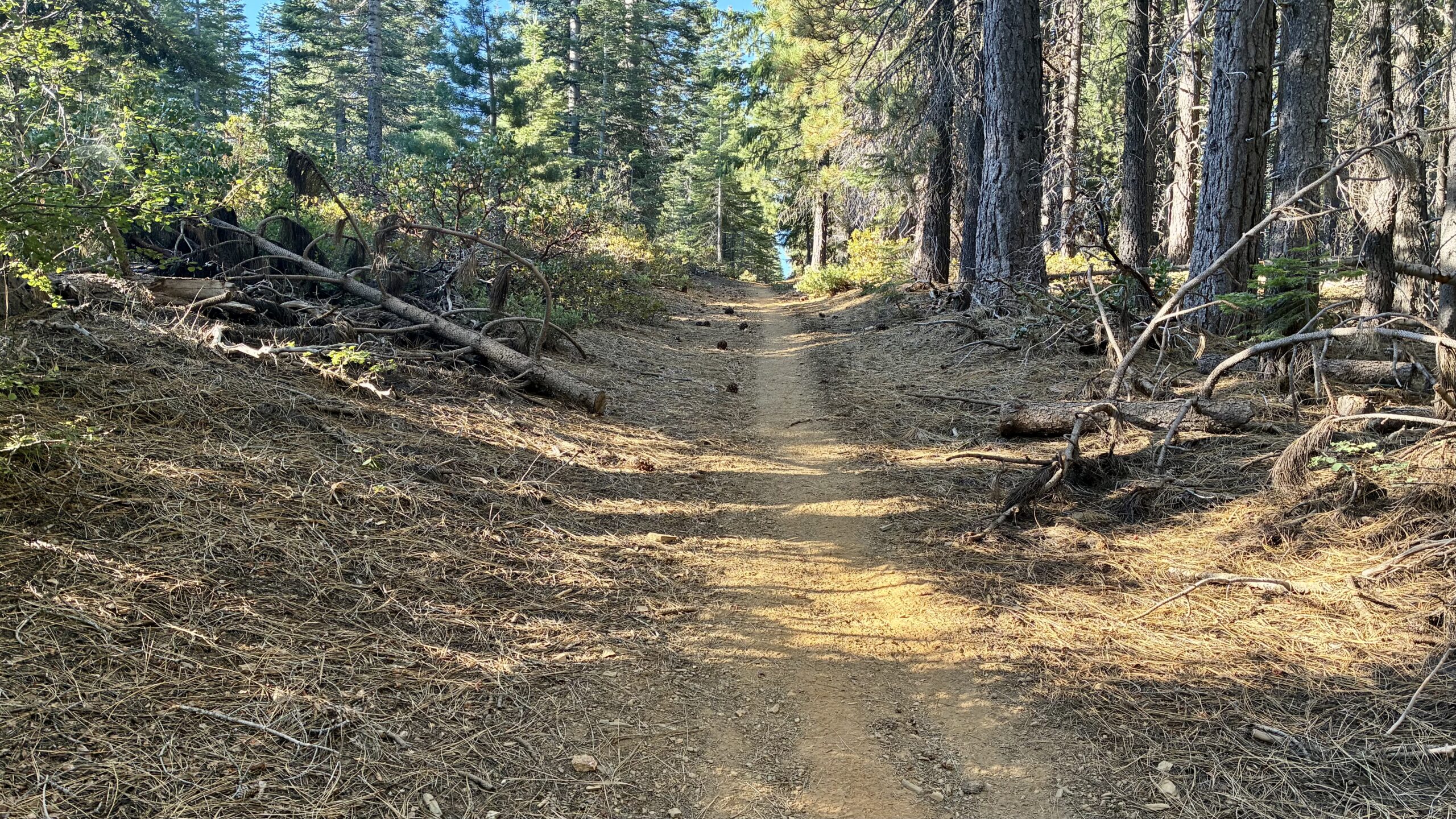 Bucks Creek to Big Creek Road