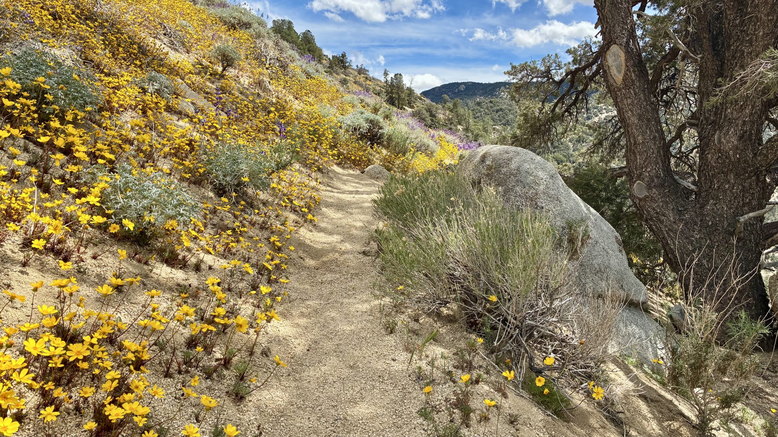 Walker Pass to Horse Spring