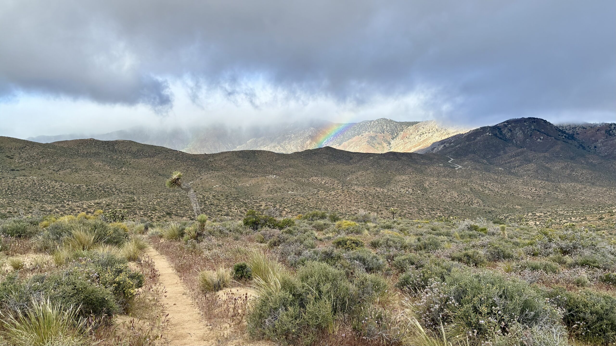 Pinyon Mountain to Robin Bird Spring