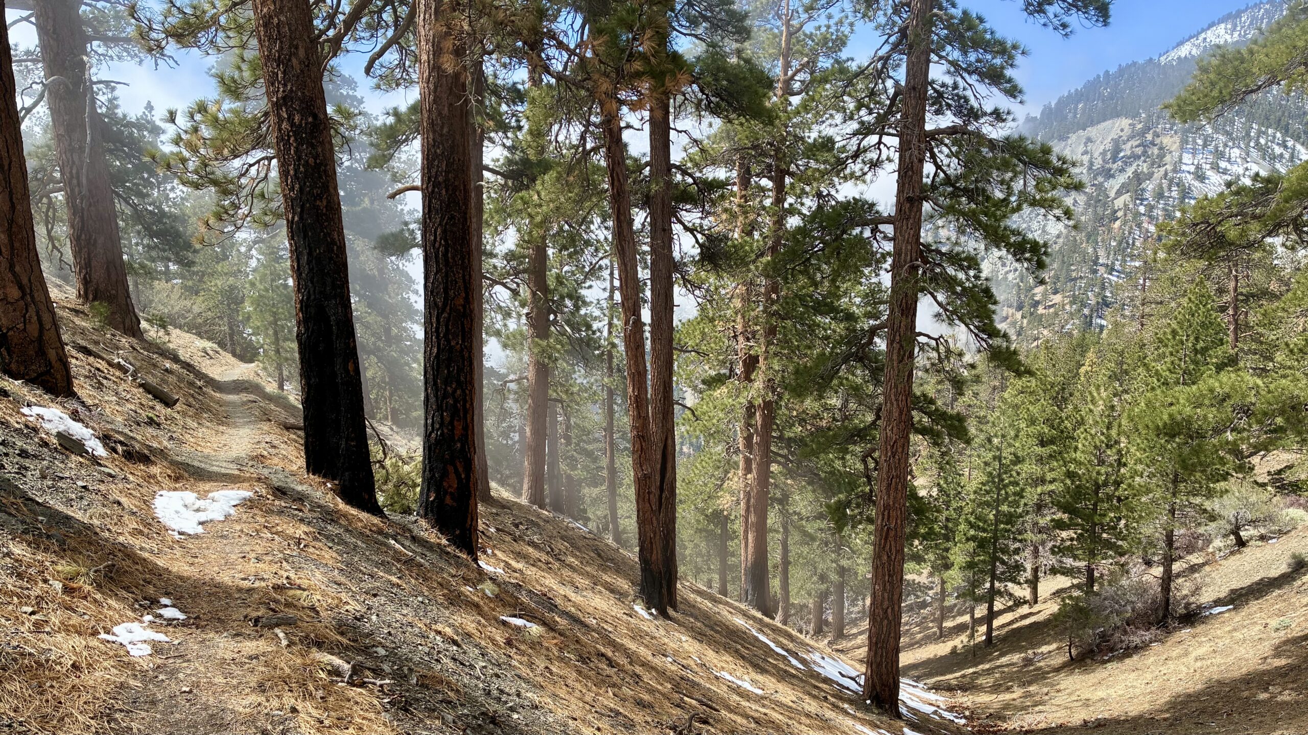 Blue Ridge to Swarthout Canyon