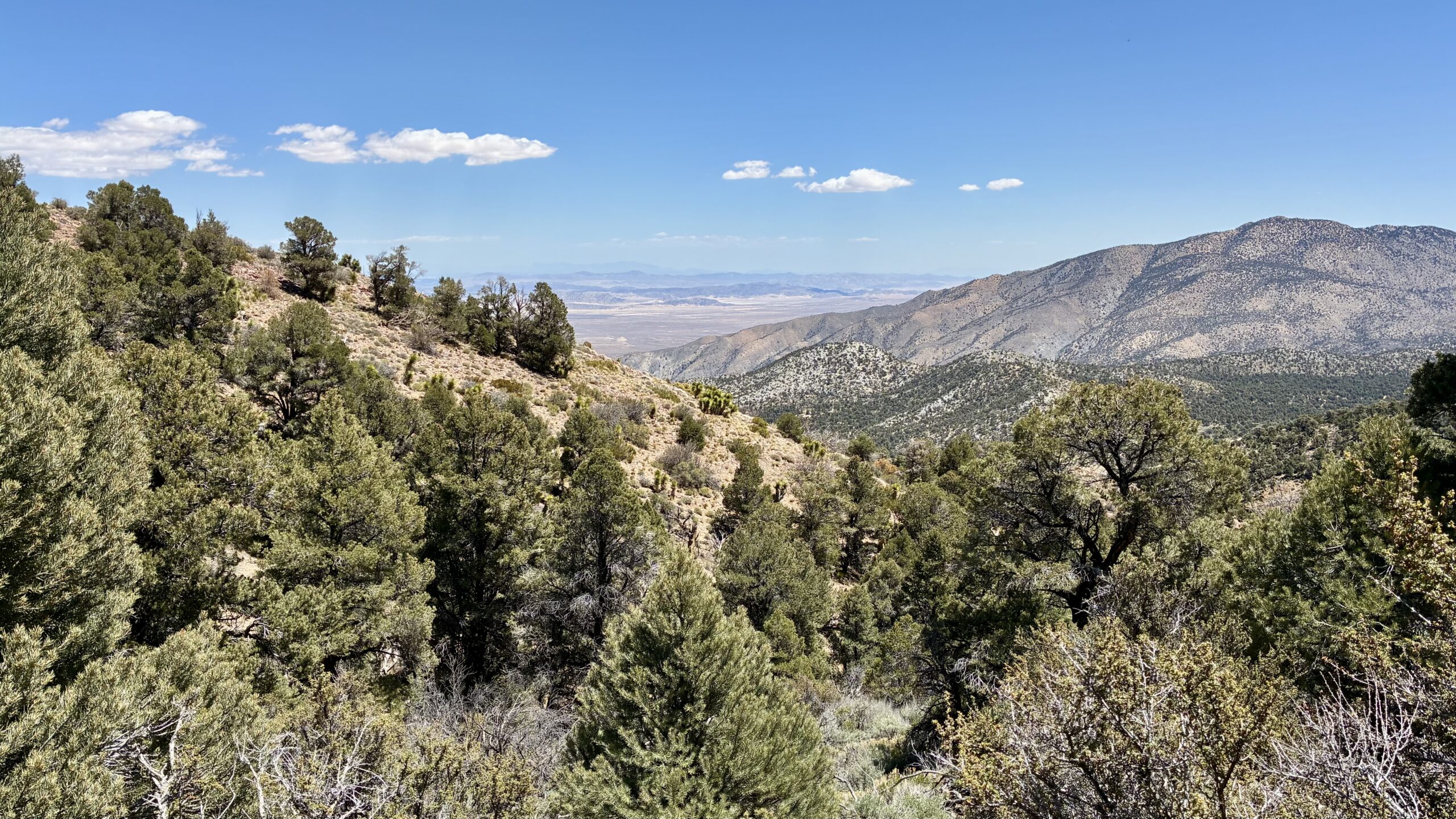 Polique Canyon to Big Bear
