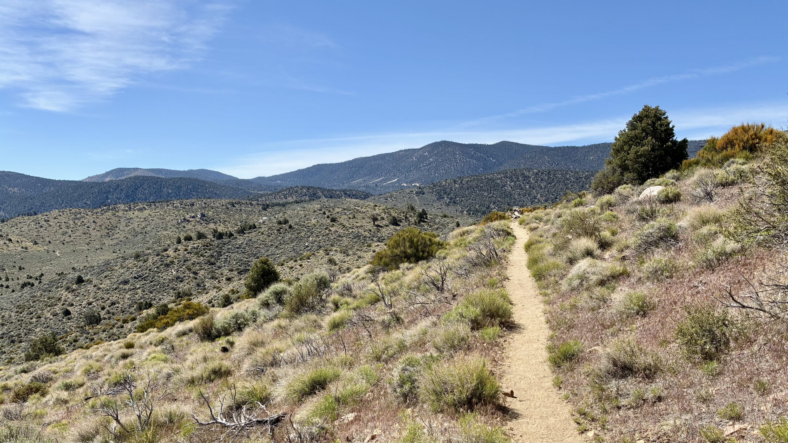Big Bear to Coon Creek