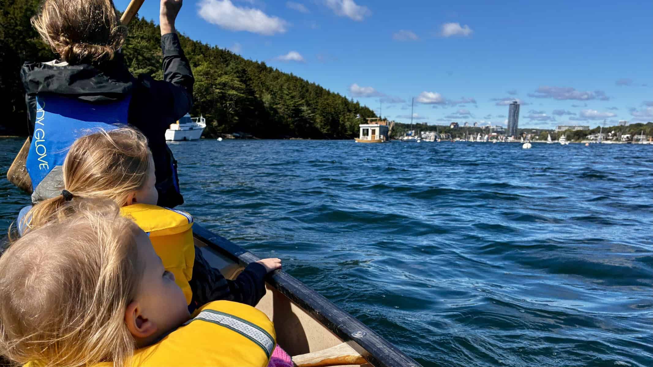 Paddle we’ll